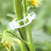20Pcs Seedlings Fixing Clips Quick-open Plant Support Clips Clear Vine Fixing Buckles for Grafting Tying Vines