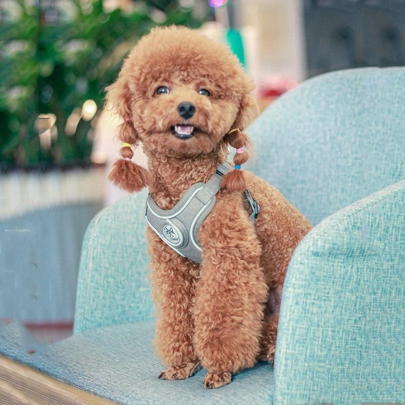 Дышащая шлейка для собак с поводком Светоотражающая оксфордская шлейка для собак Регулируемый размер Маленькие средние собаки