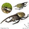 Oenux Big Size Insect Model Coleoptera Lucanidae Beetle Dynastes Hercules Action Figures Figurine Educational Kids Safe Toy