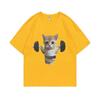 Funny Gym Sam Sulek Cat Graphic Print T-shirts Men Women Cute Fitness Pump Cover Tshirt Woman Meme T Shirt Short Sleeve