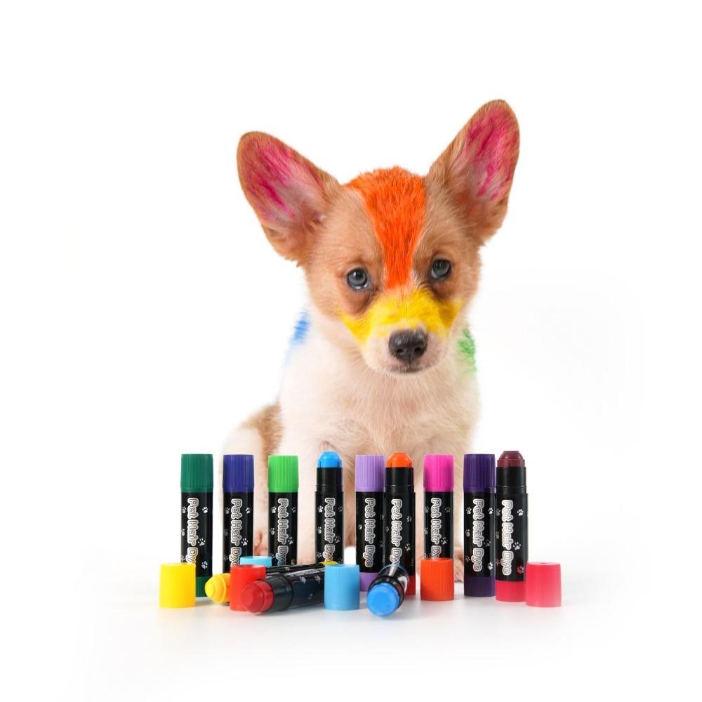 Vibrant Colors Washable Hair Dye Water Soluble Pet Hair Dye Stick Temporary Colors for Dog Cat