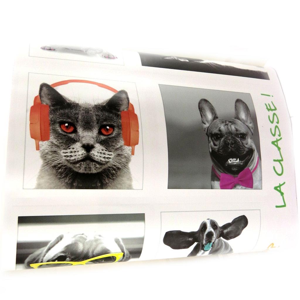 Les Trésors De Lily [L4992] - Лист наклеек «Любовь к животным» кошки собаки (50х70 см)