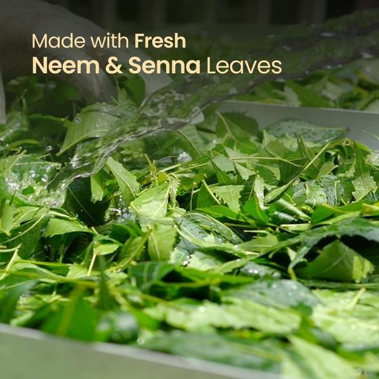 Nat Habit Herbal Gulal Pink & Green Color Combo | Organic Natural Holi Colours | Rose Petals, Neem & Indigo Leaves, Herbal Abir (Pack of 2 X 50g)