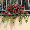 Artificial Morning Glory 44 Heads Realistic Fake Silk Petunia Flower UV Resistant