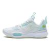 Баскетбольные кроссовки Li Ning All City 10 V1 прочные, нескользящие, амортизирующие, низкие, детские, белые, ABPS059-1