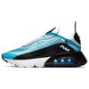Air Max 2090 Laser Blue Sneakers Casual Shoes CT1091-400