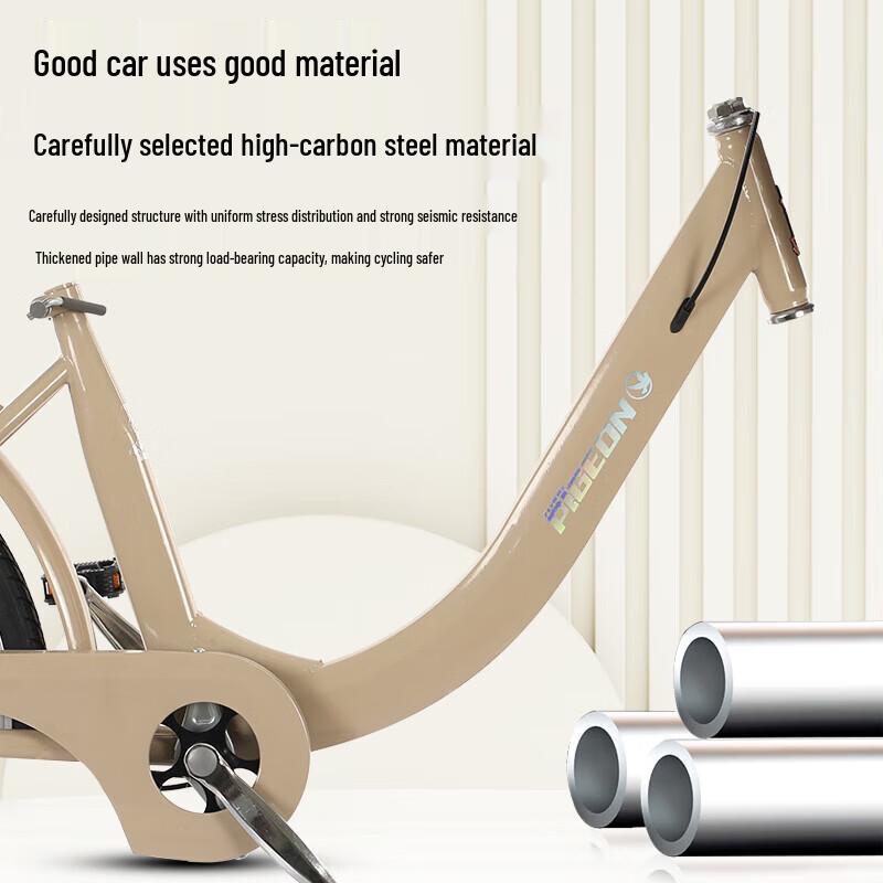 FG Flying Pigeon Commuter Bicycle