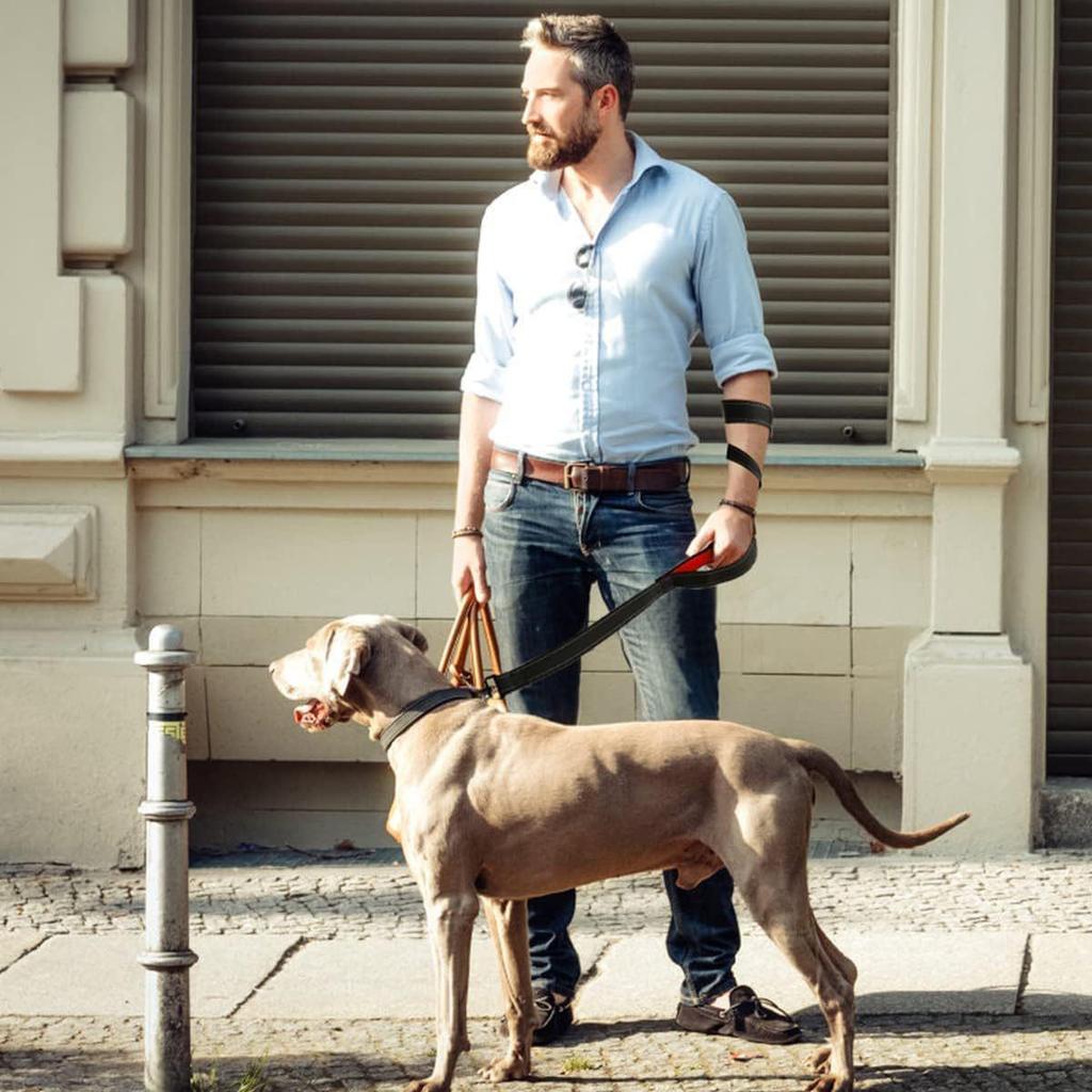 Светоотражающий взрывозащищенный амортизирующий поводок с двумя ручками для крупных собак