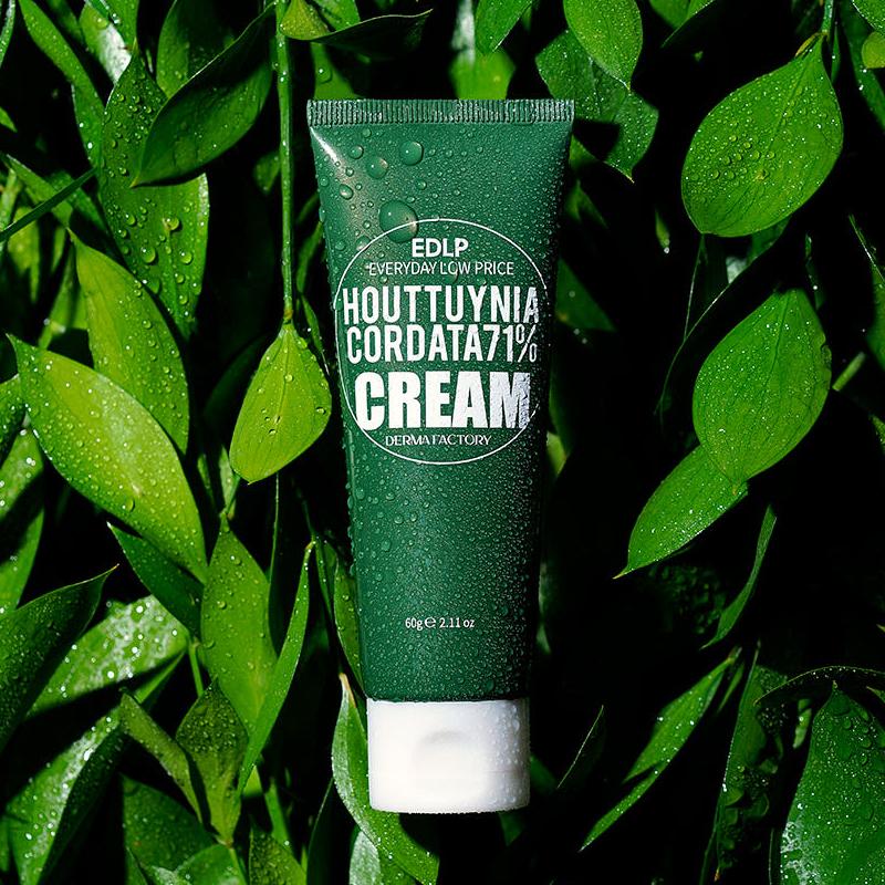 DERMA FACTORY EDLP Houttuynia Cordata 71% Крем 60мл