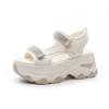 Fashion Versatile Thick Heel Sandals Women's Summer Outdoor Wear 2025 New Diamond Platform Heightening Casual Dad Sports Sandals