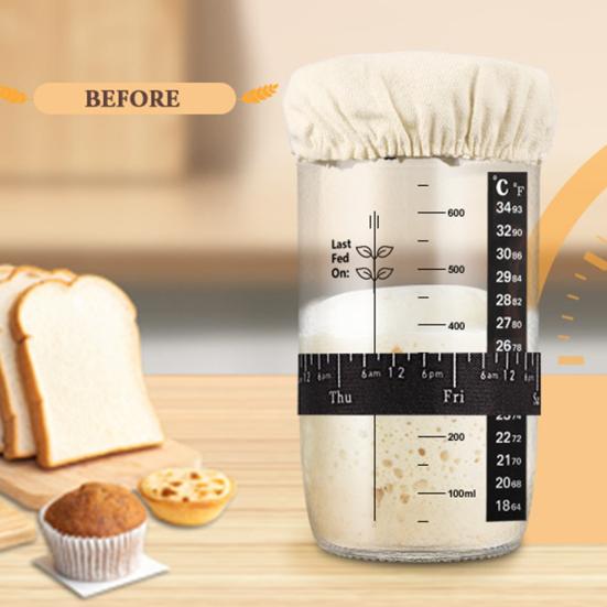501-800ML Home Fermenter with Thermometer Sourdough Fermentation Jar Transparent Leakproof Airtight Wide with Lid And Spatula Sourdough Bread Starter