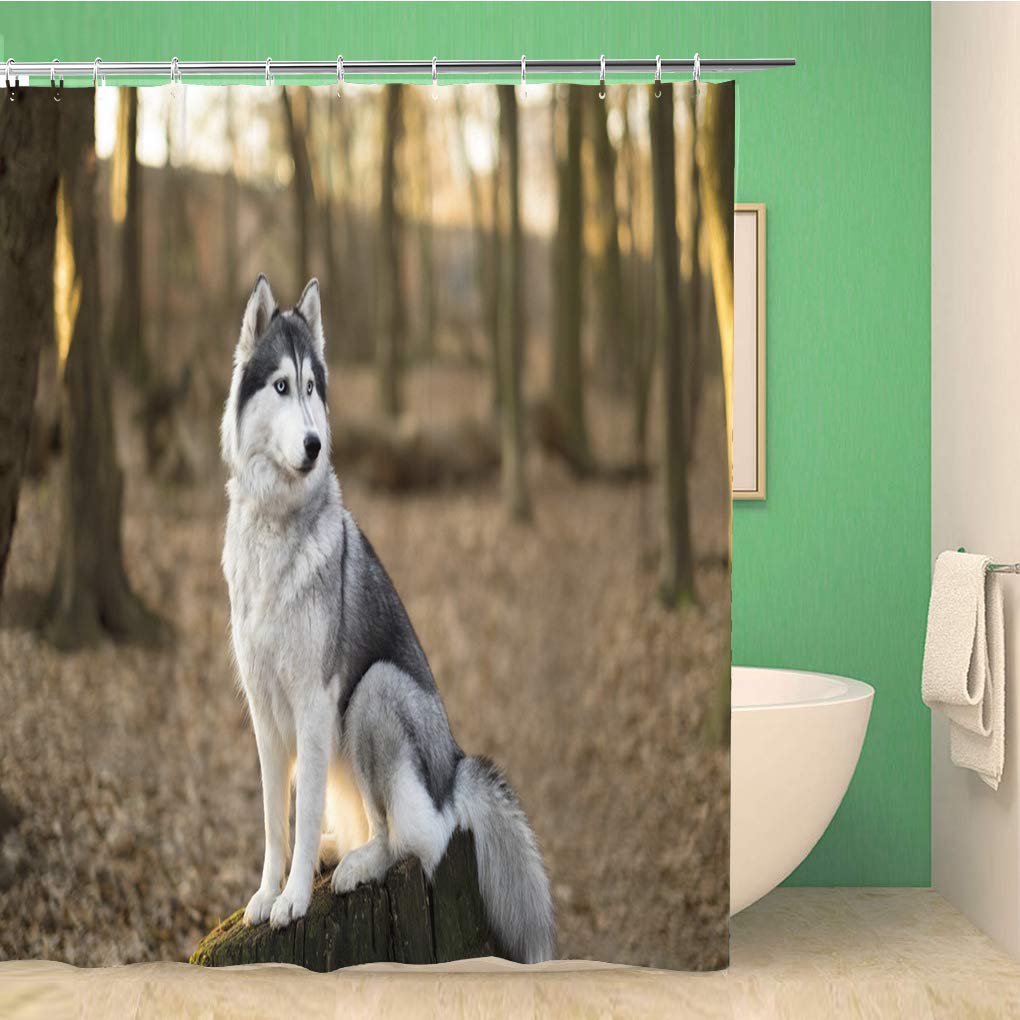 Cute Siberian Husky Shower Curtain Christmas Shower Curtain Set Husky Dog Puppy Bathroom Curtain Pet Dogs Christmas Home Decor