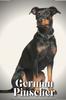 Книга German Pinscher : Dog Breed Overview and Guide