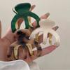 Clip Hairpin Female Hair Accessories Korean Style Headwear Acetic Acid Hair Clip Metal Hair Claw