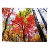 Autumn Forest Living Room Decorative Cloth Scenery Background Cloth Bedroom Tapestry Room Hanging Cloth Wall Tapestry Wall Cloth