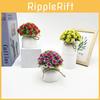 Mini Rose Plastic Potted Plant Bonsai For Wedding Photography And Decor Home