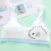 Puberty Students Bra Vest Brassiere Panties Teenagers Girls Lingerie Cotton Underwear Sets