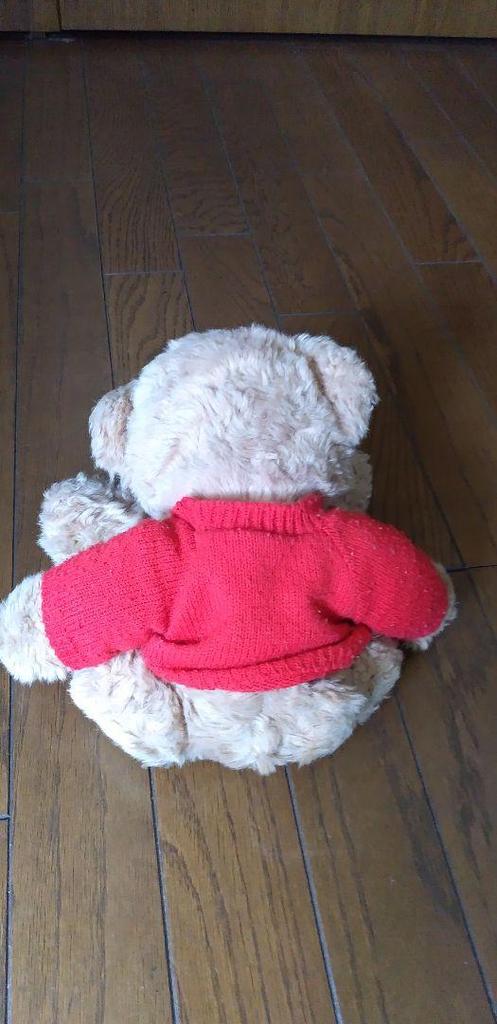 [USED] British teddy bear
