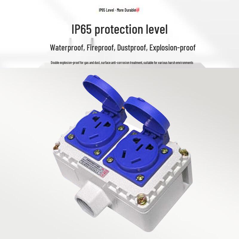 Niusha IP65 Explosion-Proof Industrial Electrical Components
