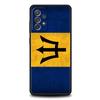 Чехол для телефона Samsung A13 A51 A71 A41 A31 A21S A11 A03S A12 A32 A52 A22 A23 A33 A53 A73 5G Чехол Канада Израиль Национальный флаг