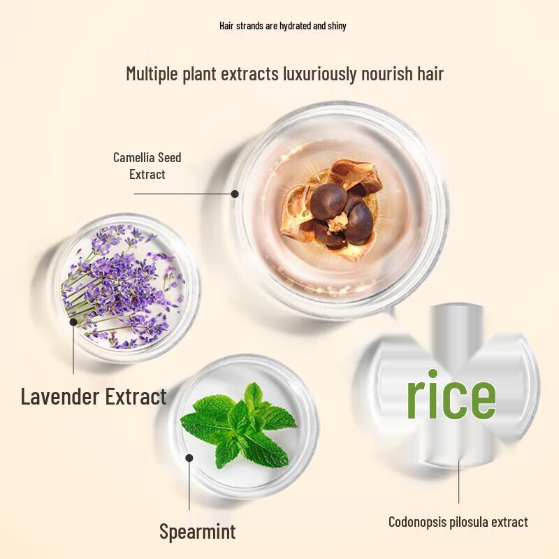 Ziyuan Tea Seed Oil Control Anti-Dandruff Conditioner for Oily Hair