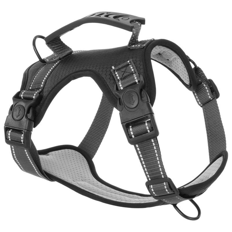 Набор шлейки и поводка для собаки породы корги - Жилет для собаки малого и среднего размера