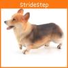 Corgi Dog Static Model Pvc Animal Figure For Desktop Decor And Collectors