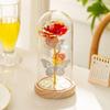 New Eternal Flower Glass Cover Rose Flower Night Light Butterfly Home Ornament Christmas Valentine's Day