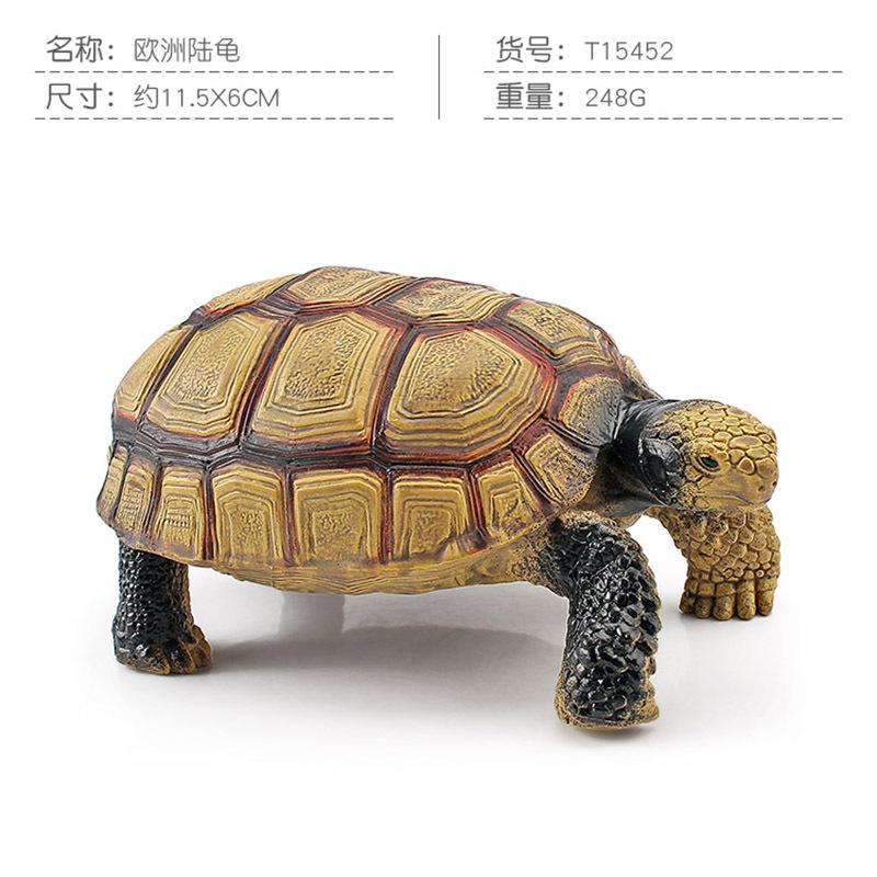 Simulation Amphibian Reptile Model Tortoise Tortoise Star Tortoise Static Decoration Cognitive Ornament Toy