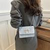 Stylish Trendy Street Chic Crossbody Bag For Women 2024 Summer Chain Shoulder Bag With Magnetic Closure