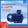 Wolong Nanyang YBX3-H Low-Voltage Marine Explosion-Proof Three-Phase Asynchronous Motor
