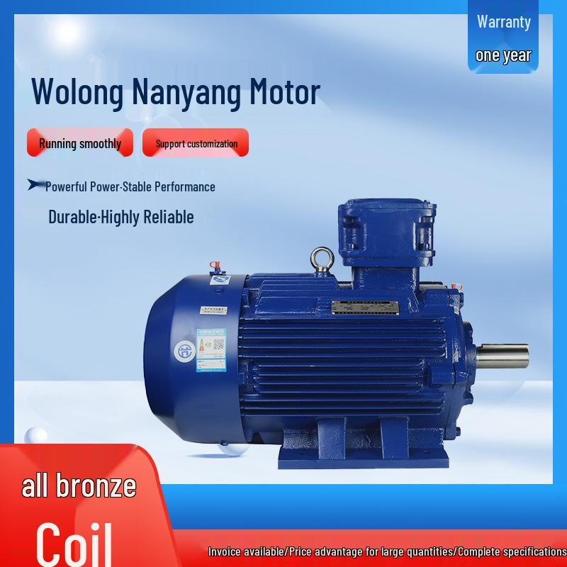 Wolong Nanyang YBX3-H Low-Voltage Marine Explosion-Proof Three-Phase Asynchronous Motor