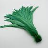Natural  50pcs Rooster Tail Feather  Plumes 25-45CM 10-18inch Beige DIY Dyed Cock Tail Clothing Accessories Jewelry Performance