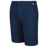 Regatta Highton Long Shorts