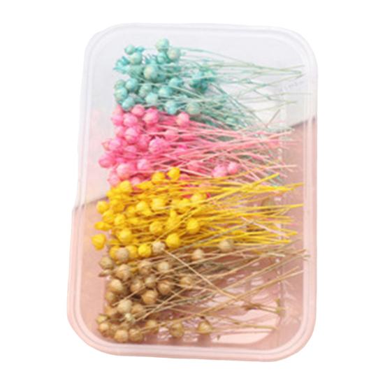 Набор сушеных цветов, настоящие натуральные цветы, сушеные цветы, сделай сам, вечные цветы, материал для ювелирных изделий ручной работы, поделки для ногтей