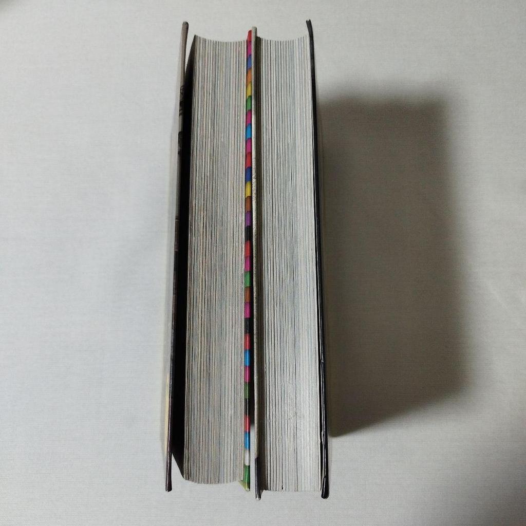 [USED] Rare Face Hunter Japanese and Western Book Set World Street Fashion Snaps