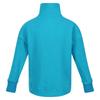 Regatta Childrens/Kids Laurden Overhead Fleece