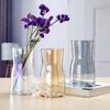Magic Electroplating Large Transparent Glass Vase Living Room Floor Rich Bamboo Flowers Hydroponic Flower Ware