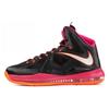 LeBron 10 'Floridians' 541100-005