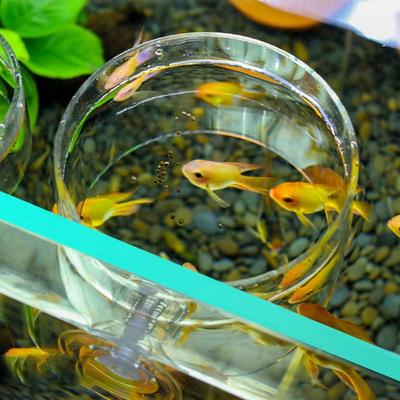 Пластиковые кормушки для карпов, квадратные кольца для кормления рыб, кормление аквариума