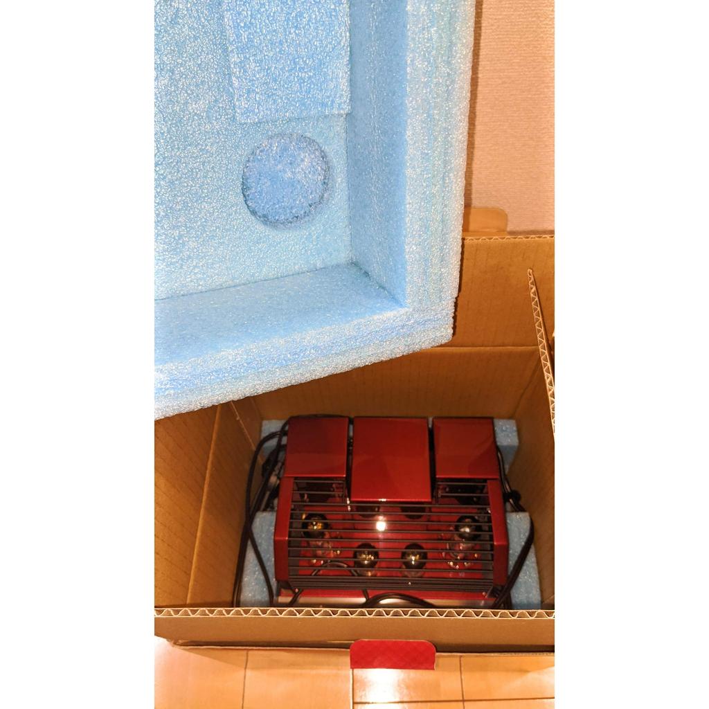Интегральный усилитель TRIODE Ruby