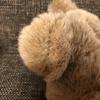 [USED] First Plush Retro Teddy Bear