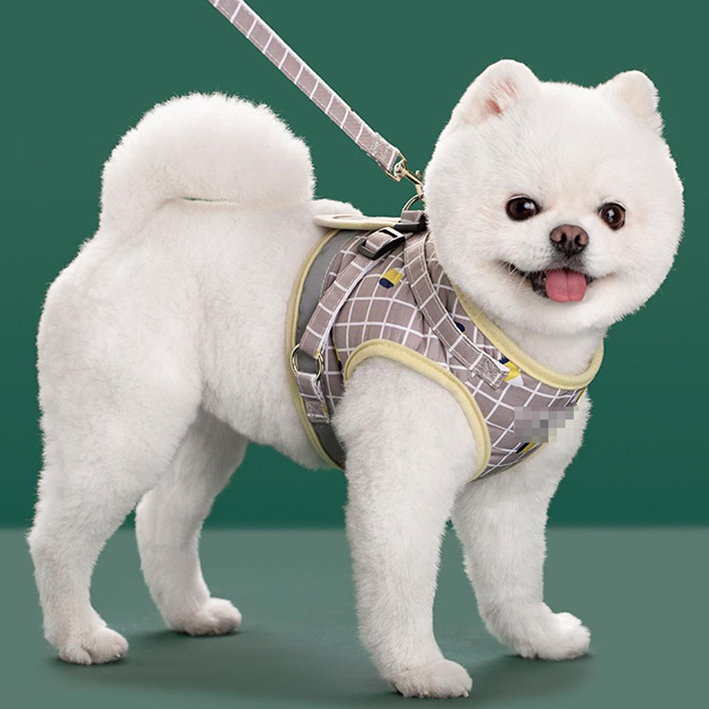 Нейлоновая сетка Светоотражающий щенок Собаки и набор поводков Собачий жилет Поводки Одежда для питомцев для маленьких собак