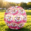 Diddl Print Size 5 Soccer Ball Durable Shock?Absorbing Sports Ball For Training Match Outdoor Playing