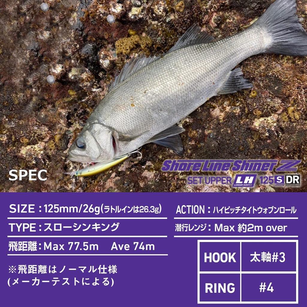 Daiwa Shoreline Shiner Z Set Upper Ranker Hunter Blue Pink Sardine 125S-DR