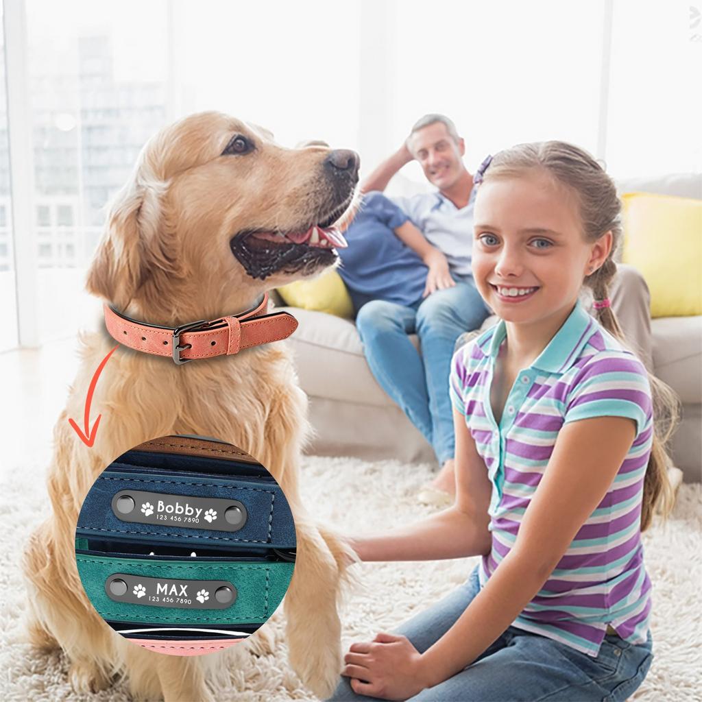 Мягкий кожаный ошейник для собак Didog, дышащий, прочный кожаный ошейник для собак с регулируемой металлической пряжкой, устойчивой к ржавчине, для маленьких, средних и больших собак