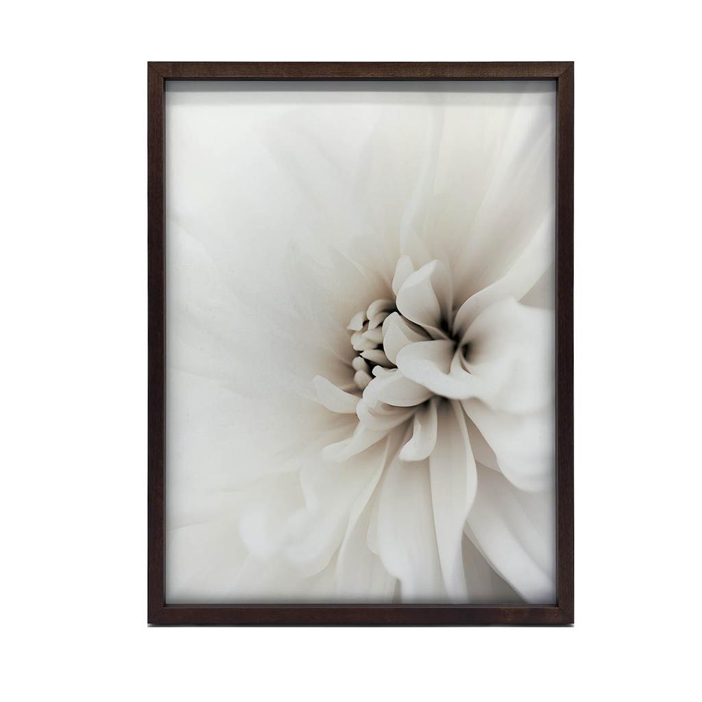 Delicate White Dahlia Delicate White Dahlia, 30X40 Cm, Gold Aluminum Frame, 230 Gsm Matte Paper