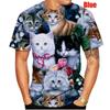 Мужская повседневная футболка с короткими рукавами и принтом Cute Kitten Group 3D