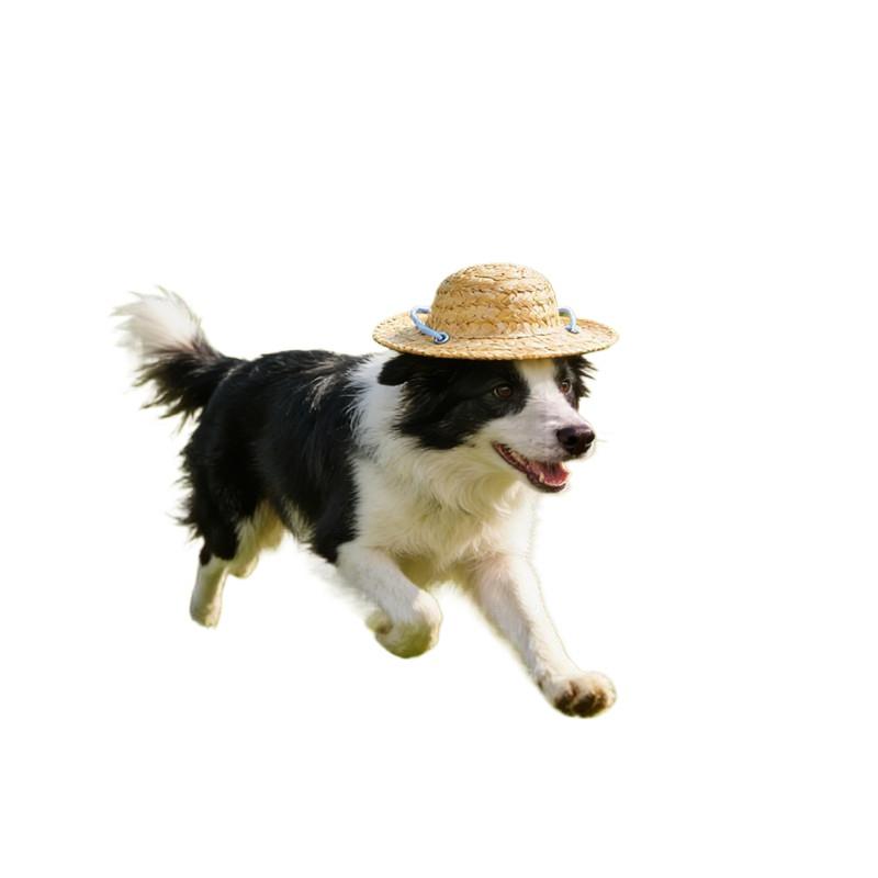New Cute Adjustable Pet Woven Hat Dog Decorative Hat Photo Prop Dog Cat Sunshade Cap Run Straw Hat For Small Dog Puppy Cat