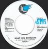 7-дюймовая пластинка GHOST - What You Gonna Do NONE Studio 2000 2006 Ямайка Регги, Ска и Даб Б/У